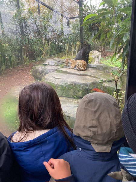 2c4697a8 16b8 424c 944c 2e464f5b15c1