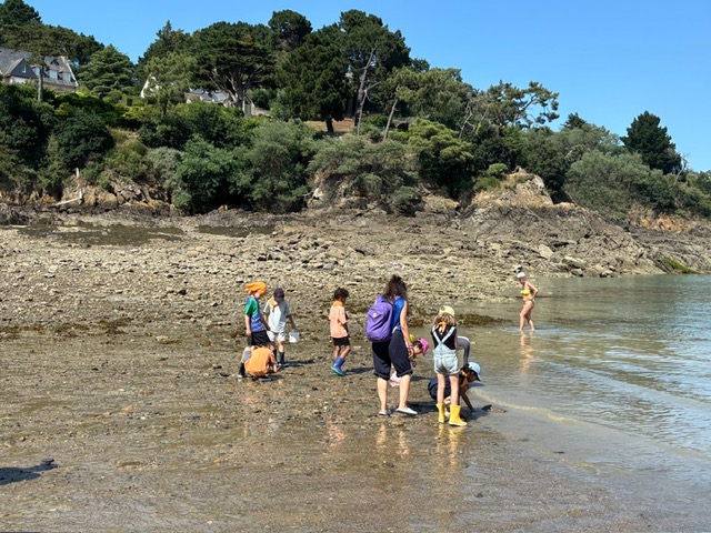 8c292e36 7bc4 446f 8b6d 4818d126cb81