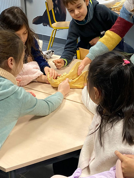 2c4697a8 16b8 424c 944c 2e464f5b15c1