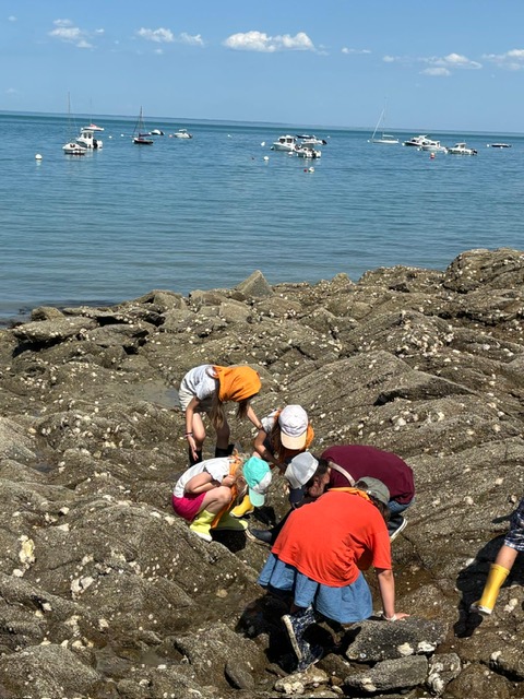 8c292e36 7bc4 446f 8b6d 4818d126cb81