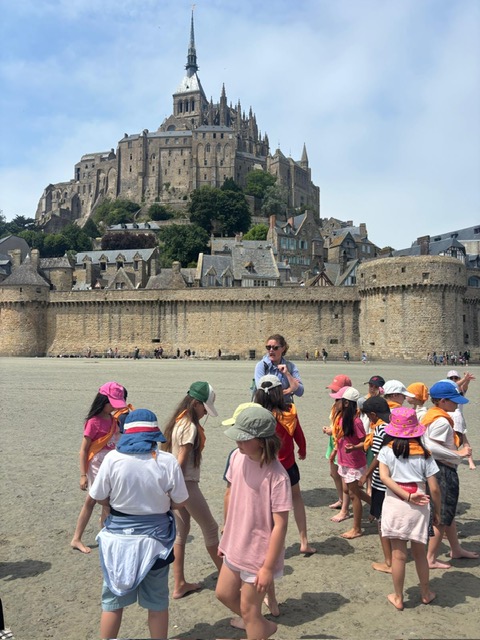 8c292e36 7bc4 446f 8b6d 4818d126cb81