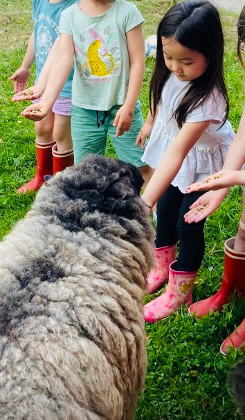 67b1a73b e11e 4ea4 855f cebe24f015e5