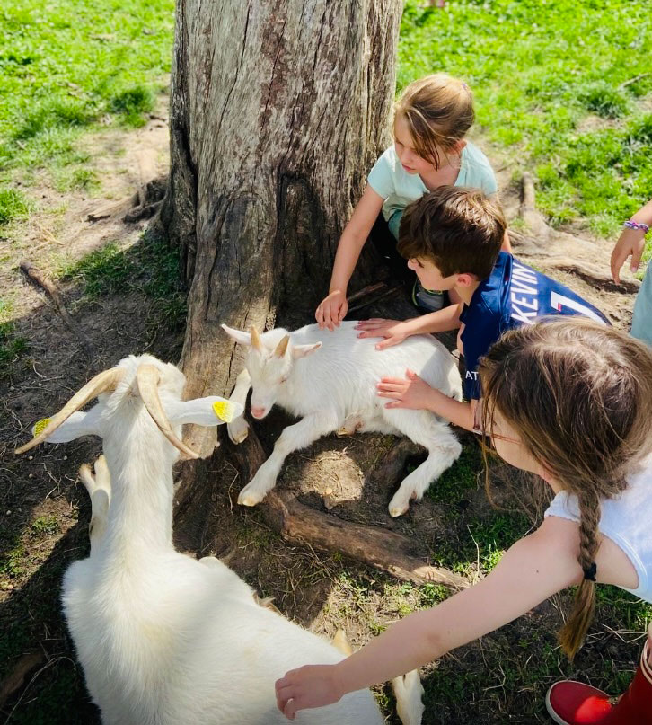 67b1a73b e11e 4ea4 855f cebe24f015e5