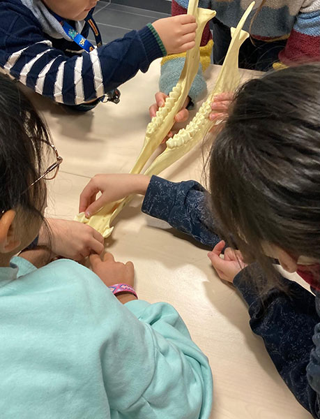 2c4697a8 16b8 424c 944c 2e464f5b15c1